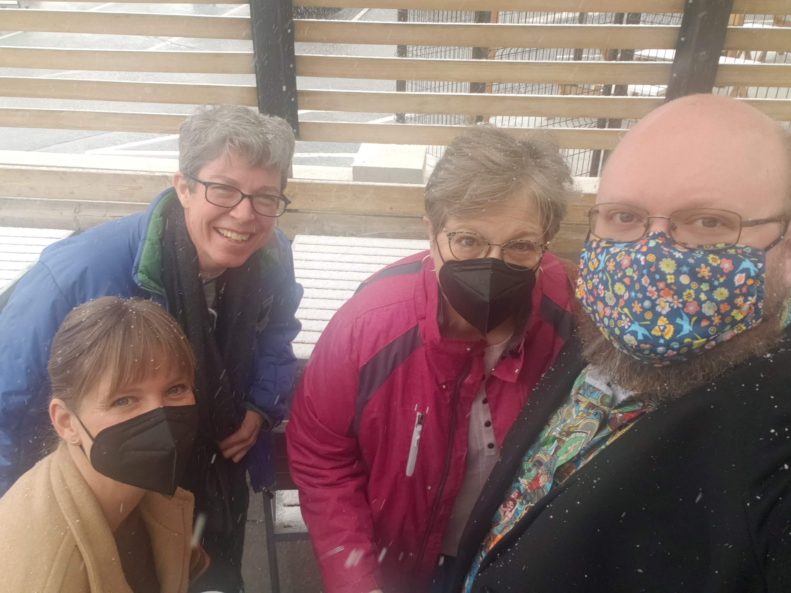 Dana Center professional learning specialists Jackie LeJeune, Lisa Brown, Mary Davis, and Michael Greenlee enjoying the New Mexico snow.