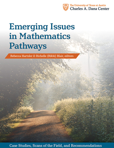 Emerging Issues Book Cover