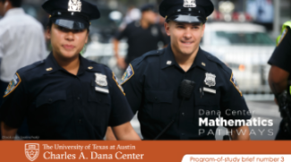 DCMP_issue_brief_criminal_justice_20190612.pdf_
