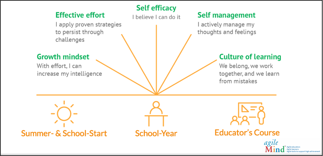 AYD Social and Emotional Learning skills